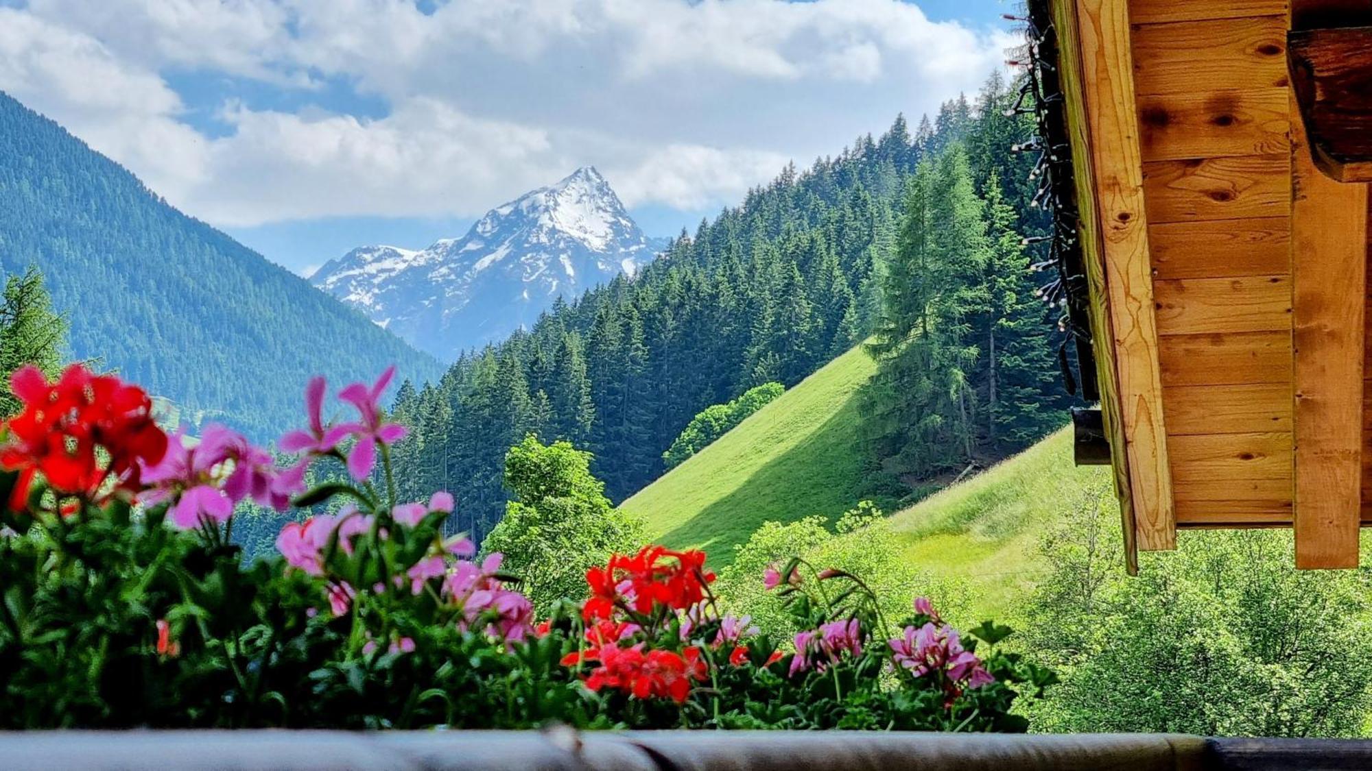 גריס אים סלריין Gaestehaus Landhaus Tyrol מראה חיצוני תמונה